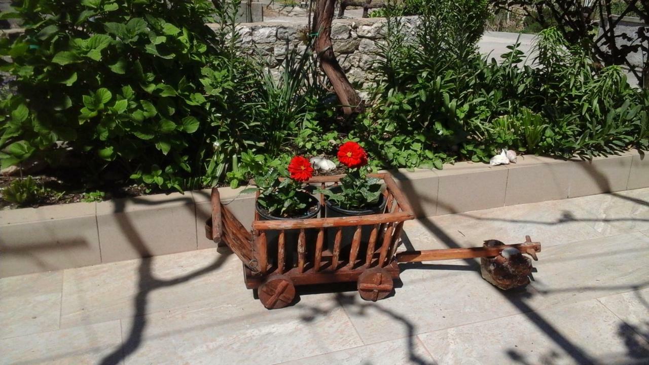 סופטרסקה דראגה Guesthouse Familija Tariba מראה חיצוני תמונה